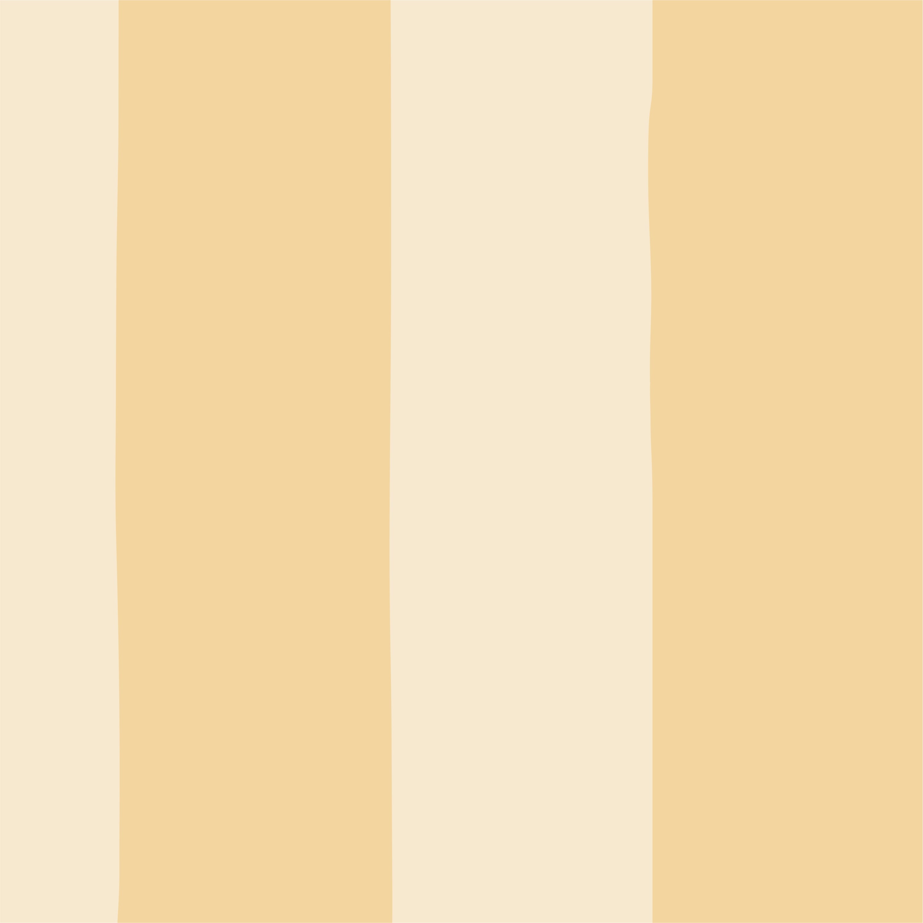 Papel de Parede Toalha de Praia Baunilha  2,80 x 0,45 m