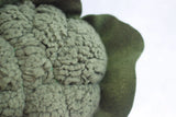 Brócolis 17 cm