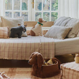 Almofada Dogs Jimmy 34 x 27 x 15 cm