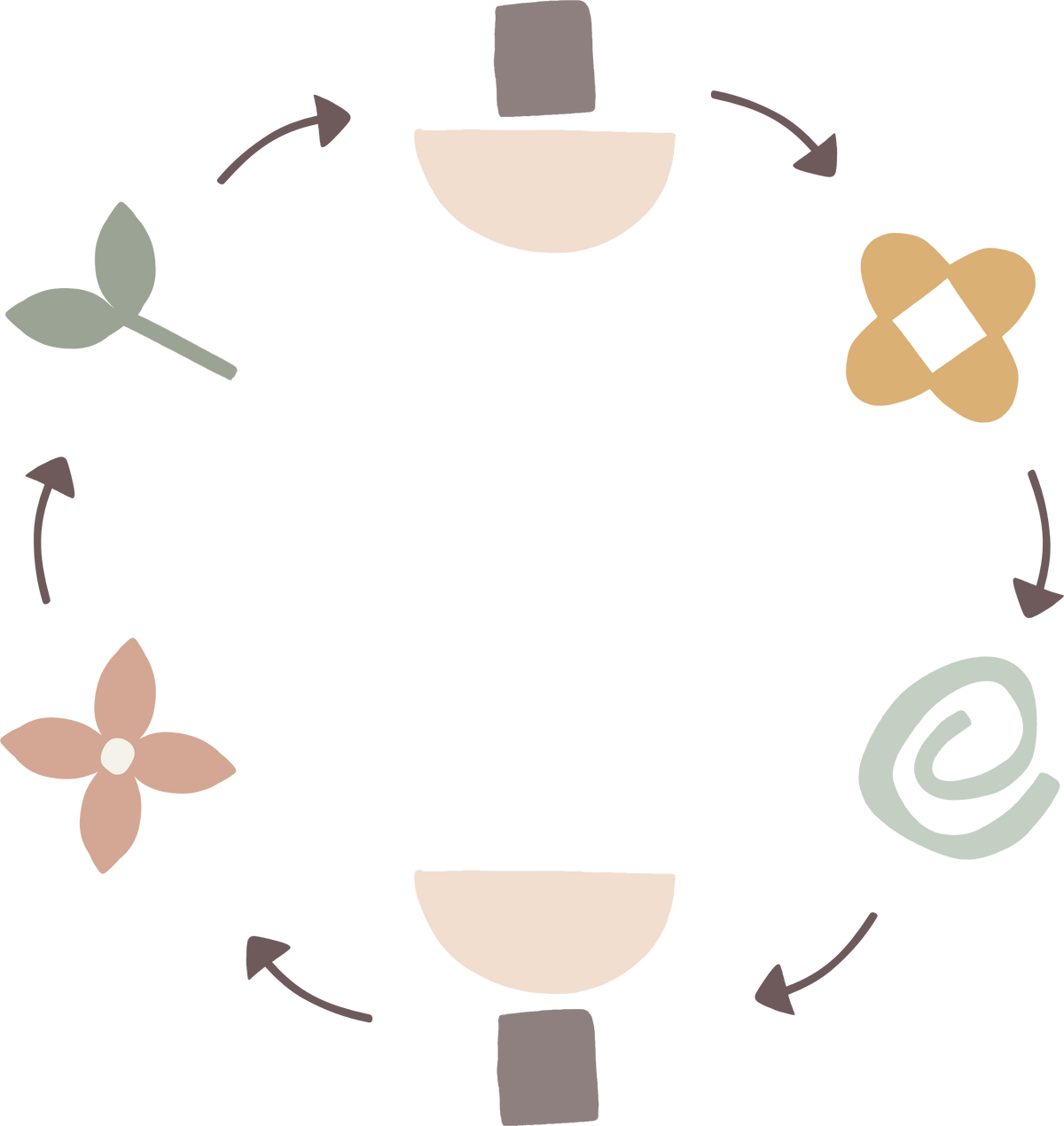 O ciclo do Circula Momy