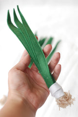 Cebolinha 18 cm